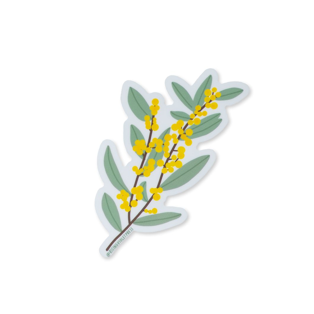 Golden Wattle Sticker